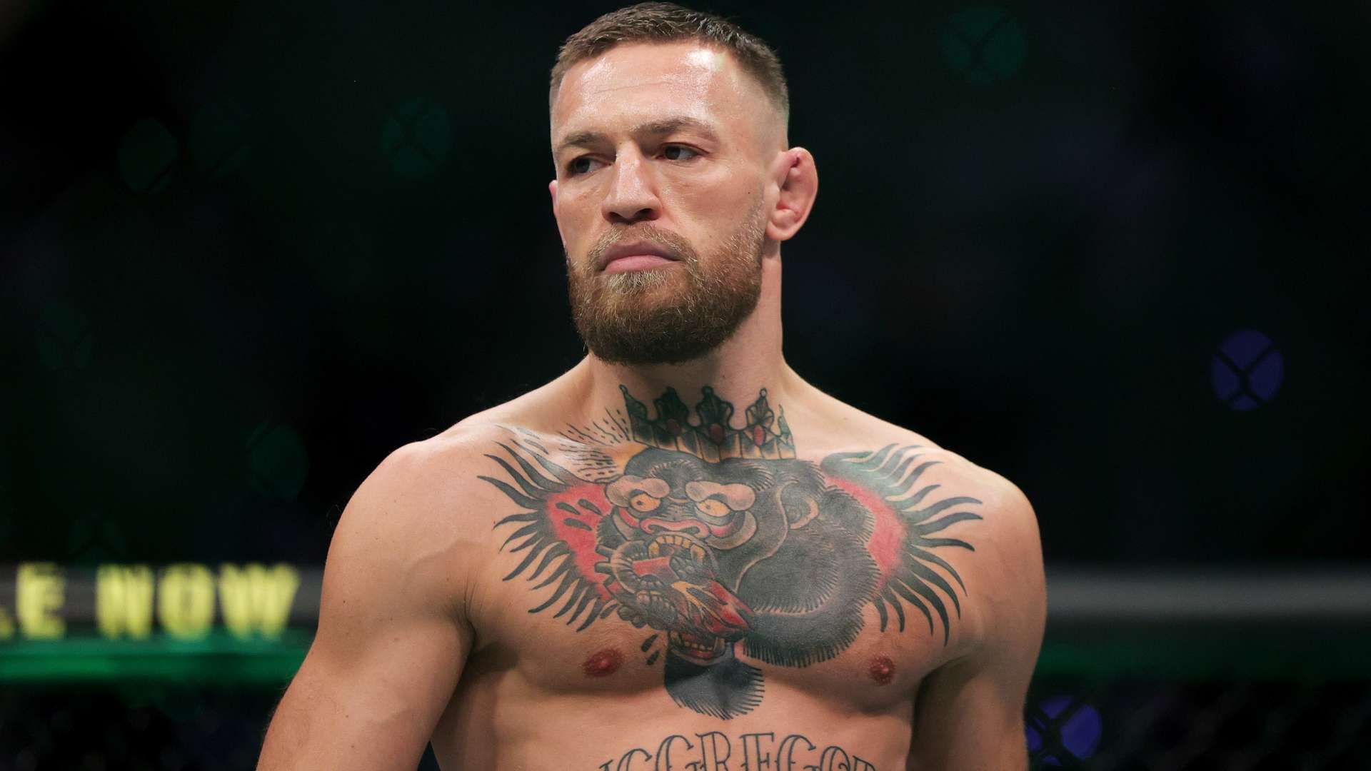 球员和球迷 球员和球迷